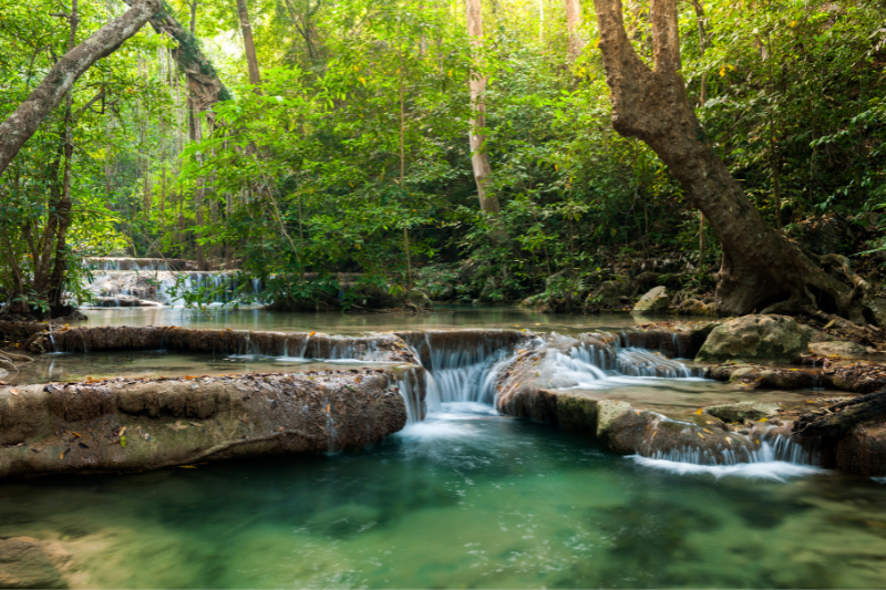 Jungle view in south america