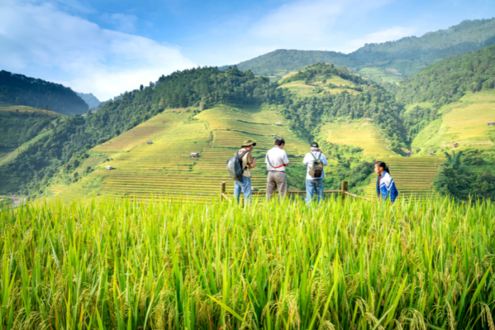 researchers on agriculture field