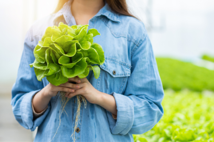 A girl is with plant in hand