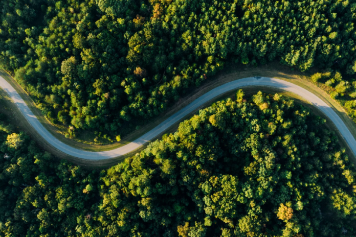 Jungles of South America