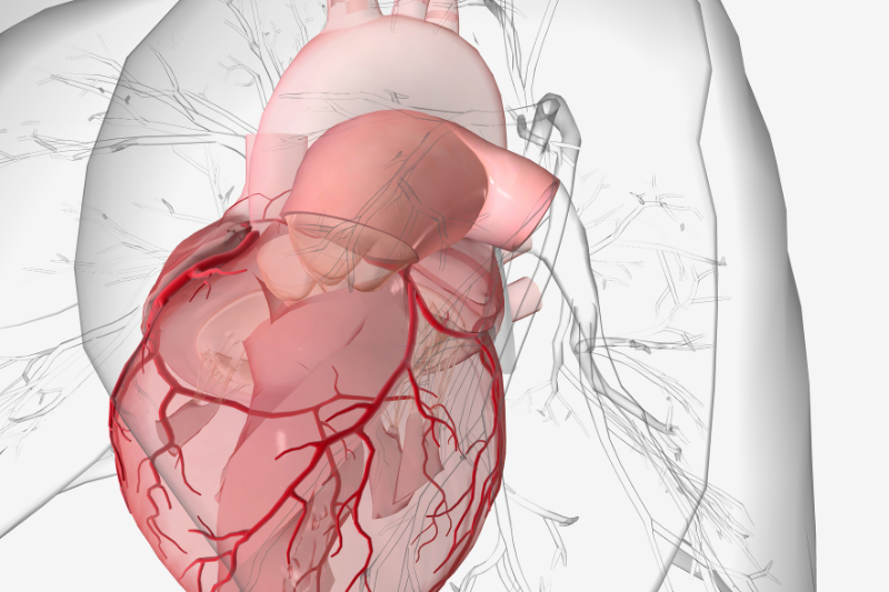 overview of heart disease