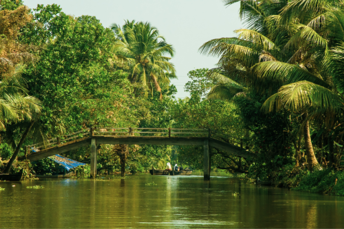 Bridge over kerala backwaters