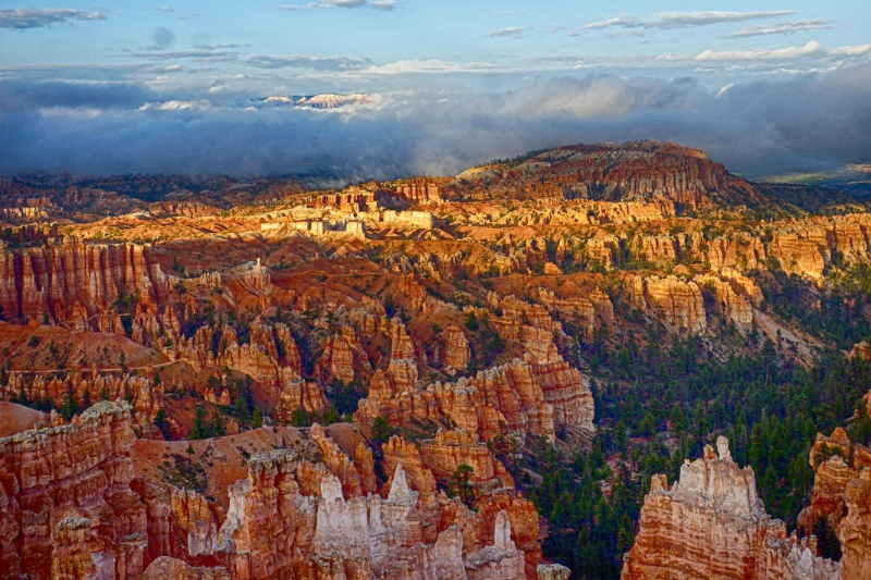 A view of grand canyon 